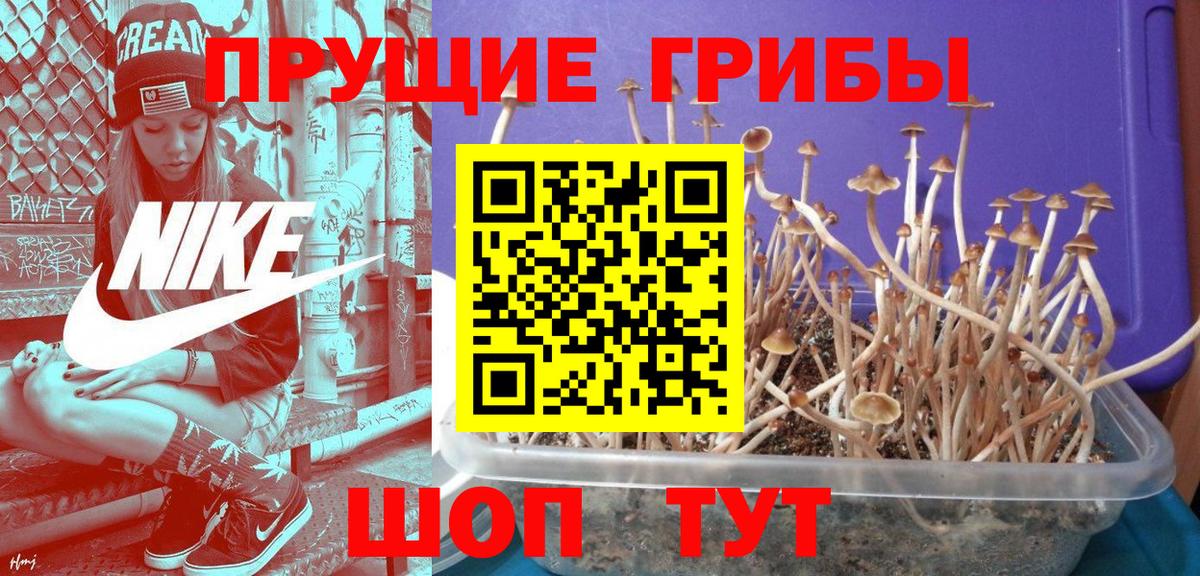 Псилоцибиновые грибы Magic Shrooms Мценск