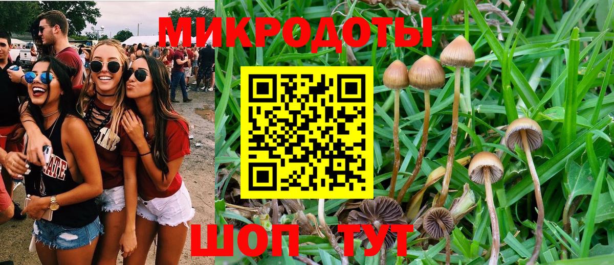 Псилоцибиновые грибы ЛСД  Вход с VPN  Мценск  Галлюциногенные грибы GOLDEN TEACHER 